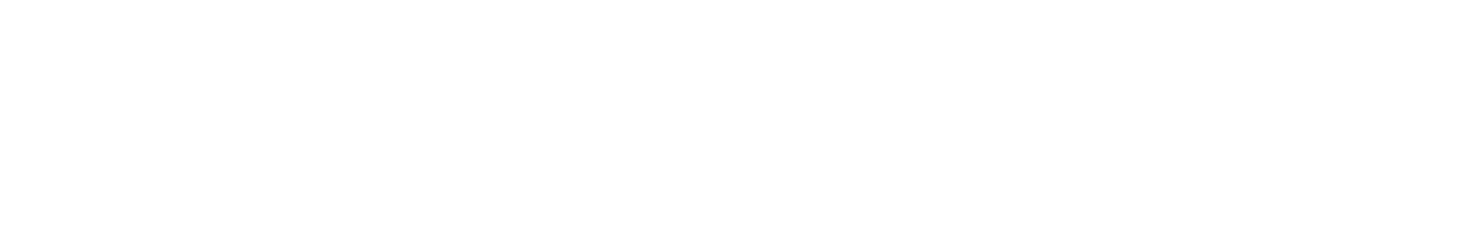 e-xpertum logo blanco